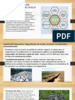 Gestion Ambiental Diapositivas