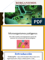 Microorganismos Patogenos