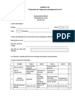 Evaluacion Riesgo Patologias Voz