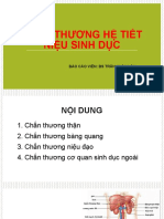 CHẤN THƯƠNG HỆ TIẾT NIỆU SINH