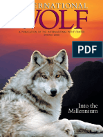 Into The Millennium: A Publication of The International Wolf Center SPRING 2000