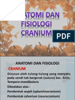 Cranium Dan Otak