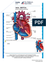 Pulmonary Atresia Mapcas Pavsdmapcas