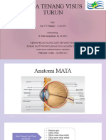 Referat - Mata Tenang Visus Turun