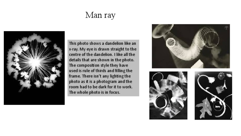 Dandelion Photogram by Man Ray | PDF