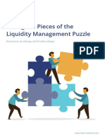 Fitting The Pieces of The Liquidity Management Puzzle: Nancy Kiarie, Ian Odongo, and Vera Bersudskaya