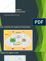Metabolismo Energetico - TP Espectro de Accao e Fluorescencia