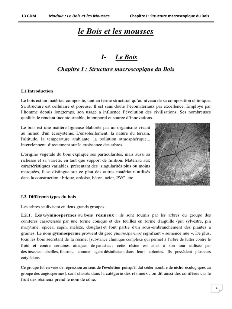 Anatomie et Structure du Bois | PDF | Bois | Arbres