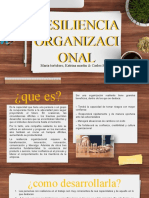 Resiliencia Organizacional