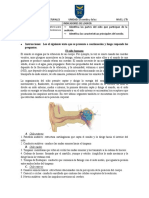 Guía Ciencias Naturales FÍSICA 6 1 Nivel B