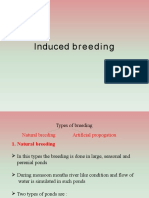 Inducedbreeding