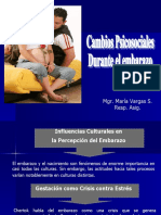 Cambios Psicosociales