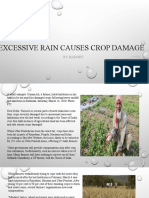Excessive Causes Crop Damage