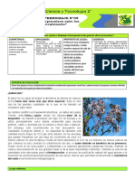 s35 - Ct2° - Ficha de Trabajo