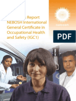 Examiners Report NEBOSH IGC1 March April 2014