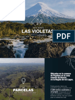 Brochure Proyecto Las Violetas