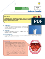 CyT - 4to - Ficha 17 - Sistema Digestivo