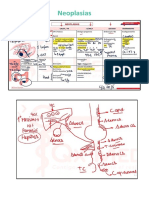 Neoplasia I y II