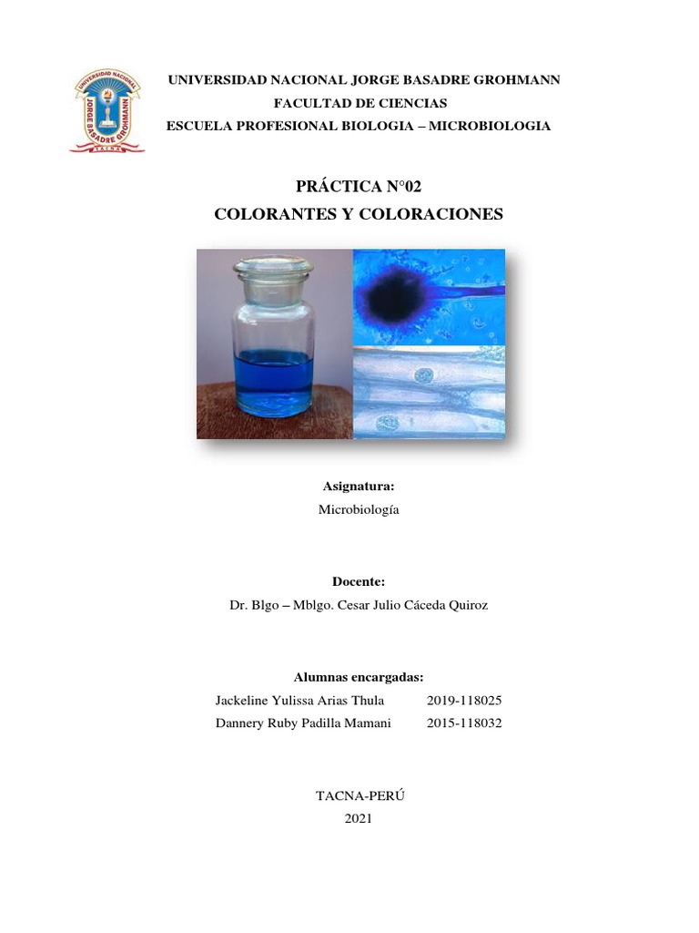 Técnicas de Tinción en Microbiología | PDF | Tinción | Microscopía
