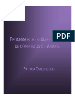 Patricia - Biodeg dz08