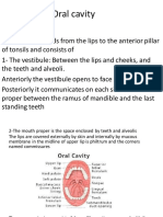 Oral Cavity