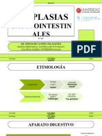 Neoplasias Gastrointestinales Oncología 20.04.22