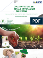 Diplomado Virtual en Estrategia e Innovacion Comercial - Juan Pablo Espino Flores