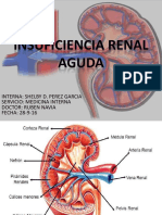 Insuficienciarenalaguda 160928125741