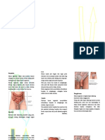 Hernia Inguinalis - Pengertian, Gejala, Penyebab dan Pengobatannya