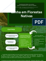 Lenha em Florestas Nativas