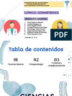 Semana 6 Diapositivas Caso Integrador - Subgrupo 2