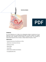 Amniocentesis: Guía de