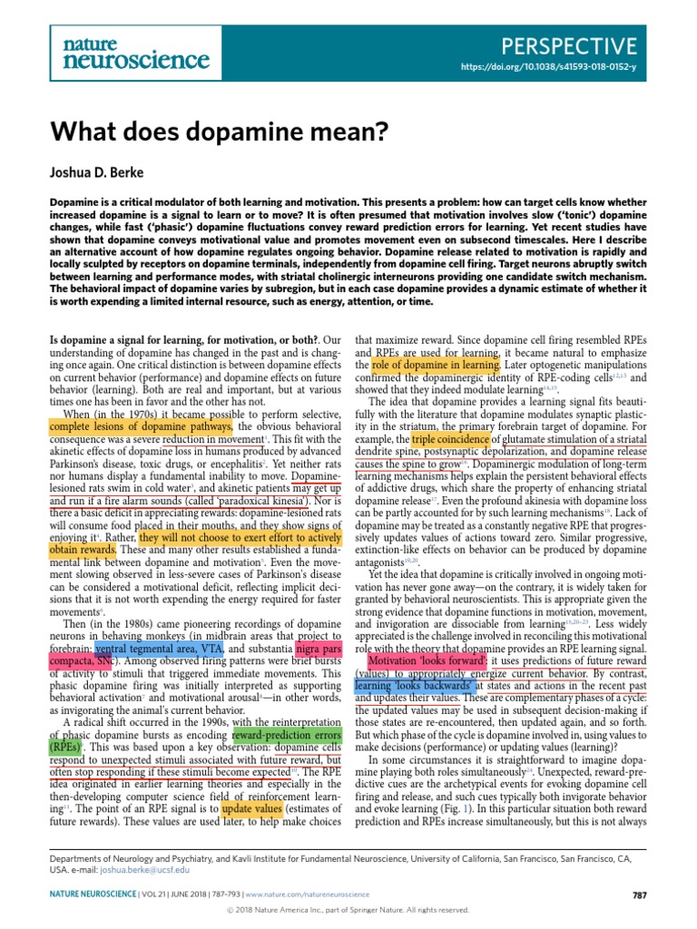 What Does Dopamine Mean? Perspective PDF Dopamine Reward System