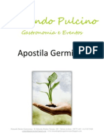 Apostila Fernando Pulcino Gastronomia - Germinação de Grãos