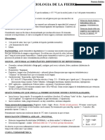 Fiebre: clasificación, causas y signos