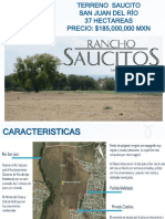 Presentacion Thvsaucitos Vertice Sur