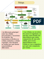 Biología Clase 01-04-2021