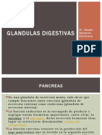 Glandulas Digestivas