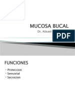 Mucosa Bucal