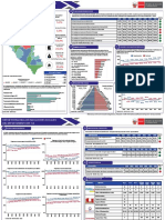 Ica Reporte Regional de Indicadores Sociales