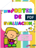 Reportes de Evaluacion Boletas Nivel Medio