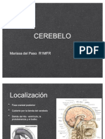 CEREBELO