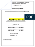 Database Project Report