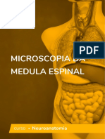 5f6b99d68bb83 Microscopia Da Medula Espinhal