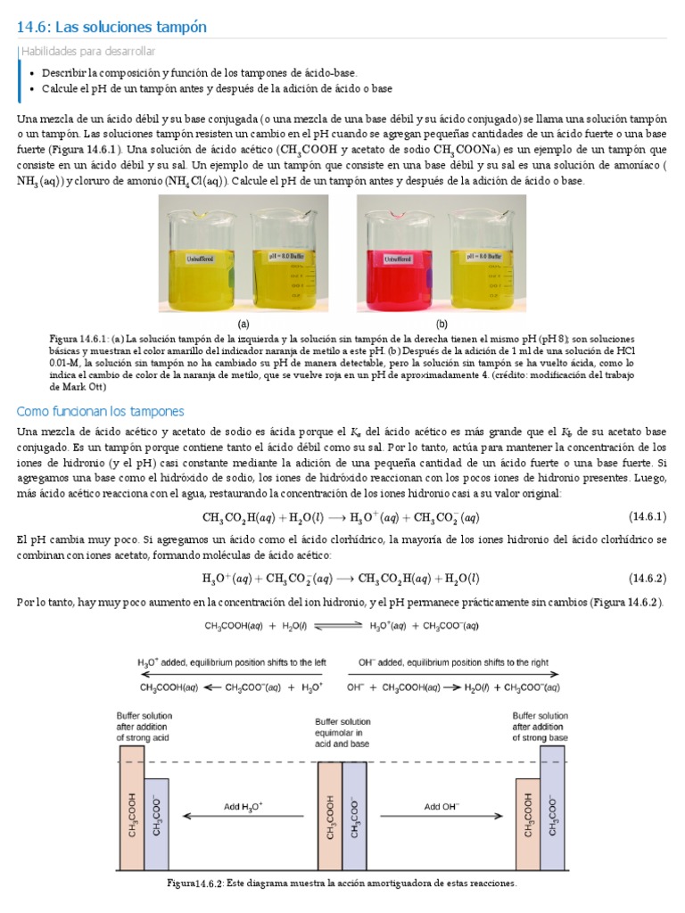 14.6_ Las soluciones tampón LibreTexts Español PDF Solución