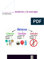 Ciclo de La Materia Ecosistema