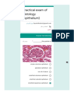 Practical Exam of Histology (Epithelium)