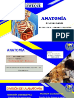 Generalidades - Anatomía