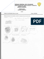 Fractura Mineralogia