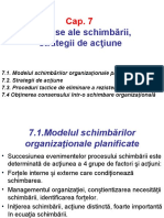 Procese Ale Schimbării, Strategii de Acţiune